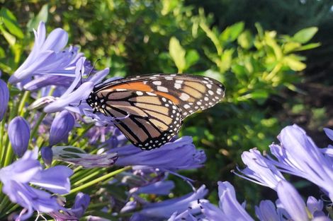 Photo of property in 163b Kingswood Road, Brookfield, Tauranga, 3110