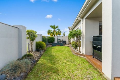 Photo of property in 125 Solomon Street, Brookfield, Tauranga, 3110