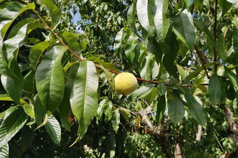 Photo of property in 15 Regent Street, Whakapirau, Maungaturoto, 0583