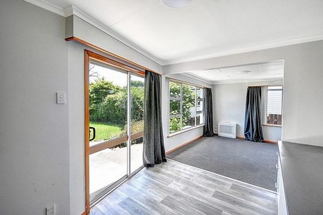 Photo of property in 217 Union Street, Milton, 9220