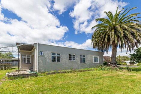 Photo of property in 68 Queen Street West, Levin, 5510