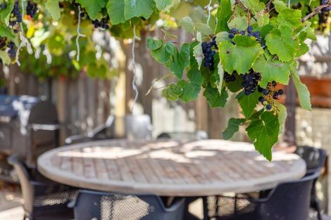 Photo of property in 128 Maxwell Road, Redwoodtown, Blenheim, 7201