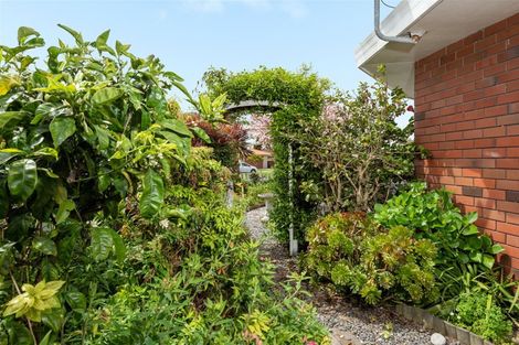Photo of property in 17a Reilly Avenue, Mount Maunganui, 3116