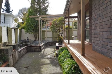 Photo of property in 41b Lake Crescent, Hamilton Lake, Hamilton, 3204