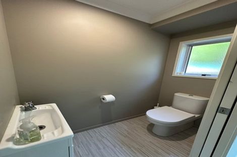 Photo of property in 22 Mcfetridge Lane, Ohauiti, Tauranga, 3112