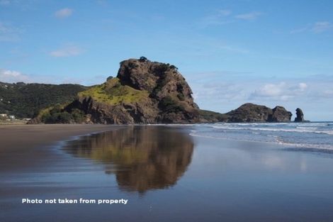 Photo of property in 127 Marine Parade North, Piha, New Lynn, 0772