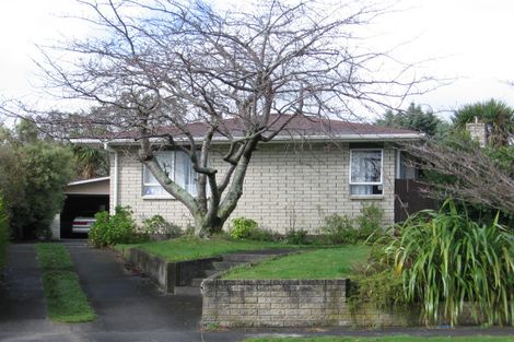 Photo of property in 45 Escort Grove, Awapuni, Palmerston North, 4412