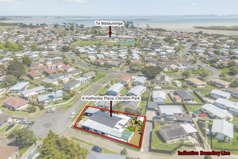 Photo of property in 8 Hatherley Place, Clendon Park, Auckland, 2103