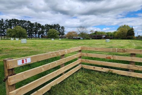 Photo of property in 81 Oroua Road, Kairanga, 4475