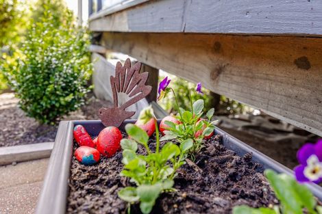 Photo of property in 5 Ajax Road, Port Chalmers, 9023