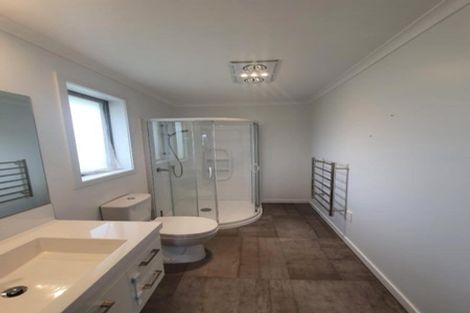 Photo of property in 67 Mcintosh Drive, Pokeno, 2471