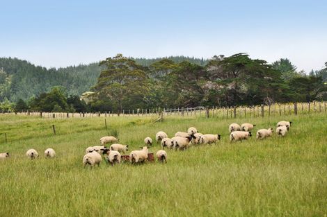 Photo of property in 19 Davie Martin Road, Kaipara Flats, Warkworth, 0981