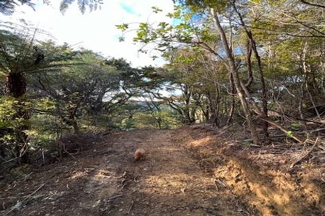 Photo of property in 211 Krippner Road, Puhoi, Warkworth, 0994