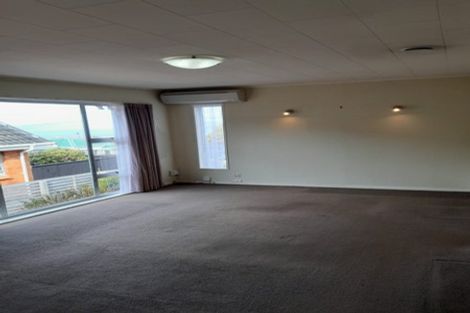 Photo of property in 24a Carnarvon Street, Belleknowes, Dunedin, 9011
