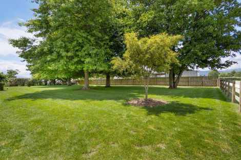 Photo of property in 8 Coates Lane, Te Poi, Matamata, 3473