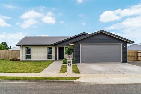 Photo of property in 36 Gimson Street, Solway, Masterton, 5810