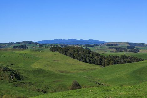 Photo of property in 397 Ruapuke Road, Raglan, 3296