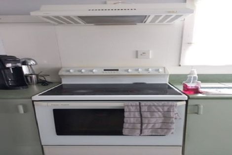 Photo of property in 20b Terrace Street, Putaruru, 3411