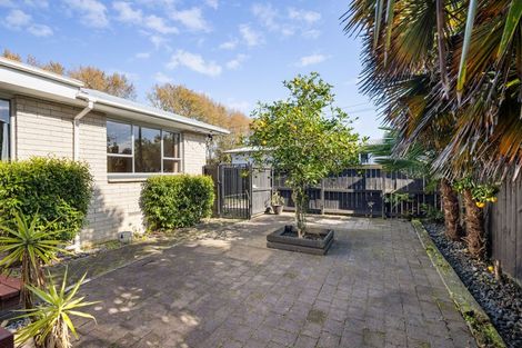 Photo of property in 121a Rimu Street, Maeroa, Hamilton, 3200