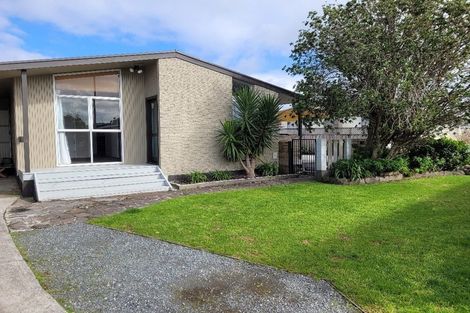Photo of property in 43 Eversham Road, Mount Maunganui, 3116