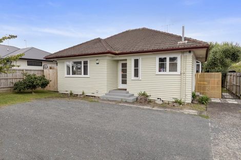 Photo of property in 77 Clarkin Road, Fairfield, Hamilton, 3214