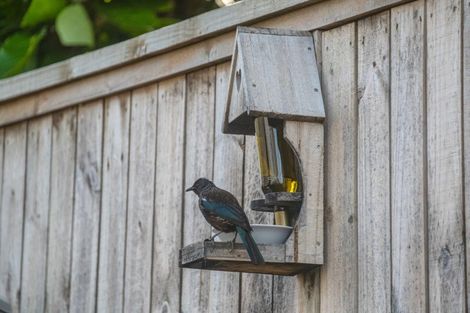 Photo of property in 63 Chesterfield Way, Orewa, 0931