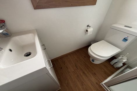 Photo of property in 68 Limbrick Street, Terrace End, Palmerston North, 4410