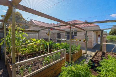 Photo of property in 55 Harris Street, Pleasant Point, 7903