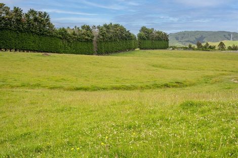 Photo of property in 51 Waimanu Road, Otaki, 5583