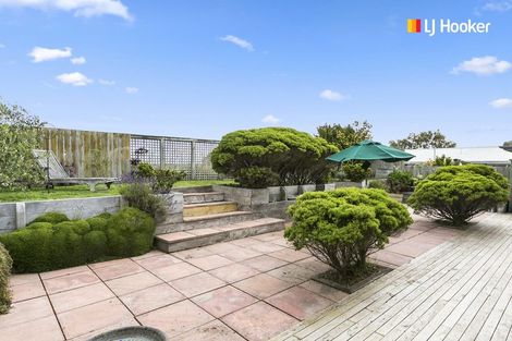 Photo of property in 43 Mornington Road, Balaclava, Dunedin, 9011