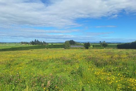 Photo of property in 60 Forest Hill Cemetery Road, Lochiel, Winton, 9781