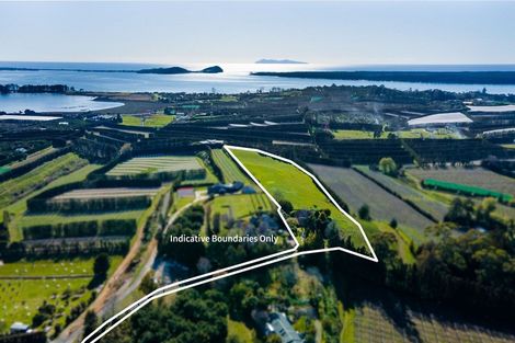 Photo of property in 94a Martray Road, Tahawai, Katikati, 3170