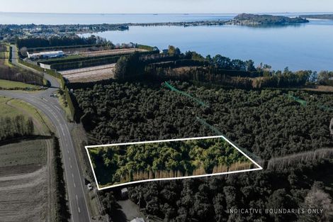 Photo of property in 229 Athenree Road, Athenree, Waihi Beach, 3177