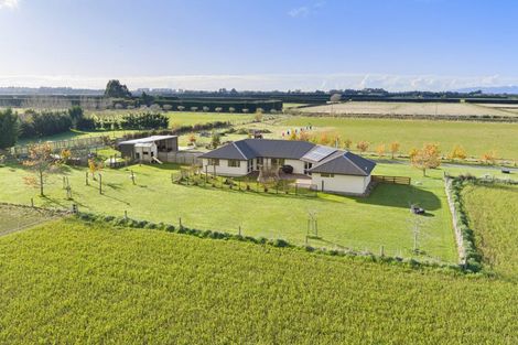 Photo of property in 113 Pearces Road, West Melton, Christchurch, 7675