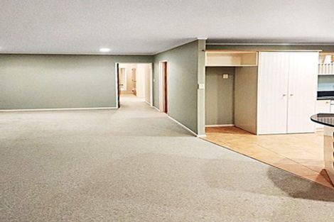 Photo of property in 19 Judge Richardson Drive, Opaheke, Papakura, 2584