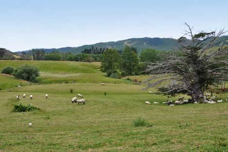 Photo of property in 19 Davie Martin Road, Kaipara Flats, Warkworth, 0981