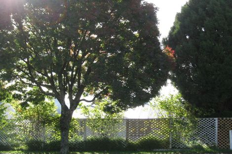 Photo of property in 44 Baird Road, Tokoroa, 3420
