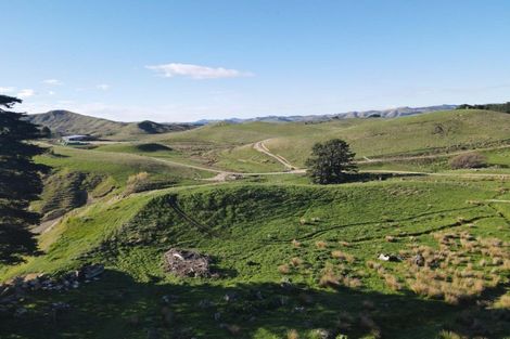 Photo of property in 147 Mangatuna Road, Weber, Dannevirke, 4970