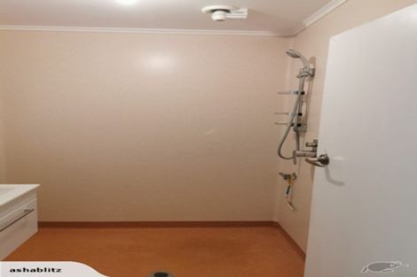 Photo of property in 41 Cook Street, Gate Pa, Tauranga, 3112