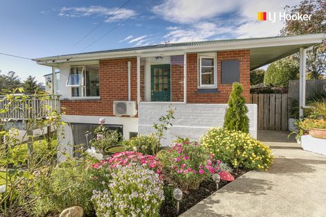 Photo of property in 270 Helensburgh Road, Helensburgh, Dunedin, 9010