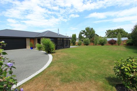 Photo of property in 14 Mcisaac Place, Renwick, 7204