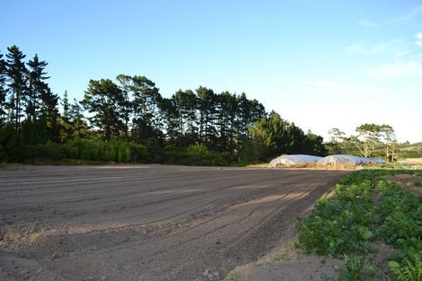 Photo of property in 10 Hailes Road, Whenuapai, Auckland, 0814