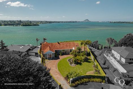 Photo of property in 15 Mersea Place, Maungatapu, Tauranga, 3112