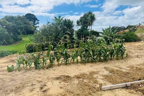 Photo of property in 4217b Far North Road, Pukenui, 0484