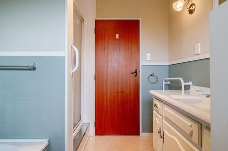 Photo of property in 19 Te Punga Place, Awapuni, Palmerston North, 4412