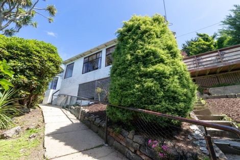 Photo of property in 56 Peter Street, Caversham, Dunedin, 9012