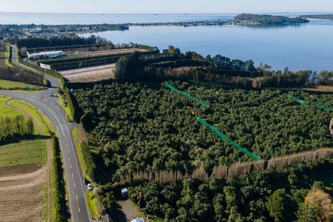 Photo of property in 229 Athenree Road, Athenree, Waihi Beach, 3177