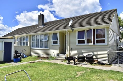 Photo of property in 4-6 Hinemoa Street, Levin, 5510