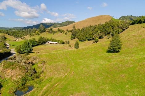 Photo of property in 1382 No 3 Road, Te Puke, 3183