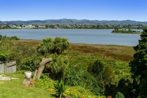 Photo of property in 66 Milton Road, Otumoetai, Tauranga, 3110